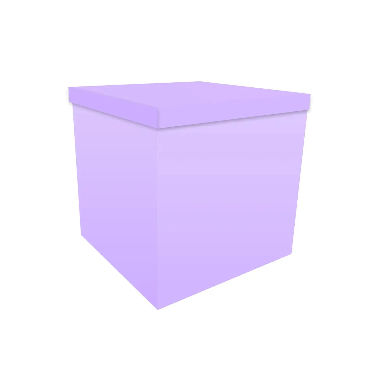 Überraschungsbox / Gender Box mit Luftballons Nürnberg 70cm x70cm