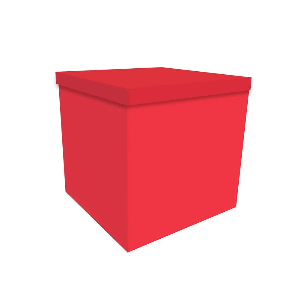 Überraschungsbox / Gender Box mit Luftballons Nürnberg 70cm x70cm