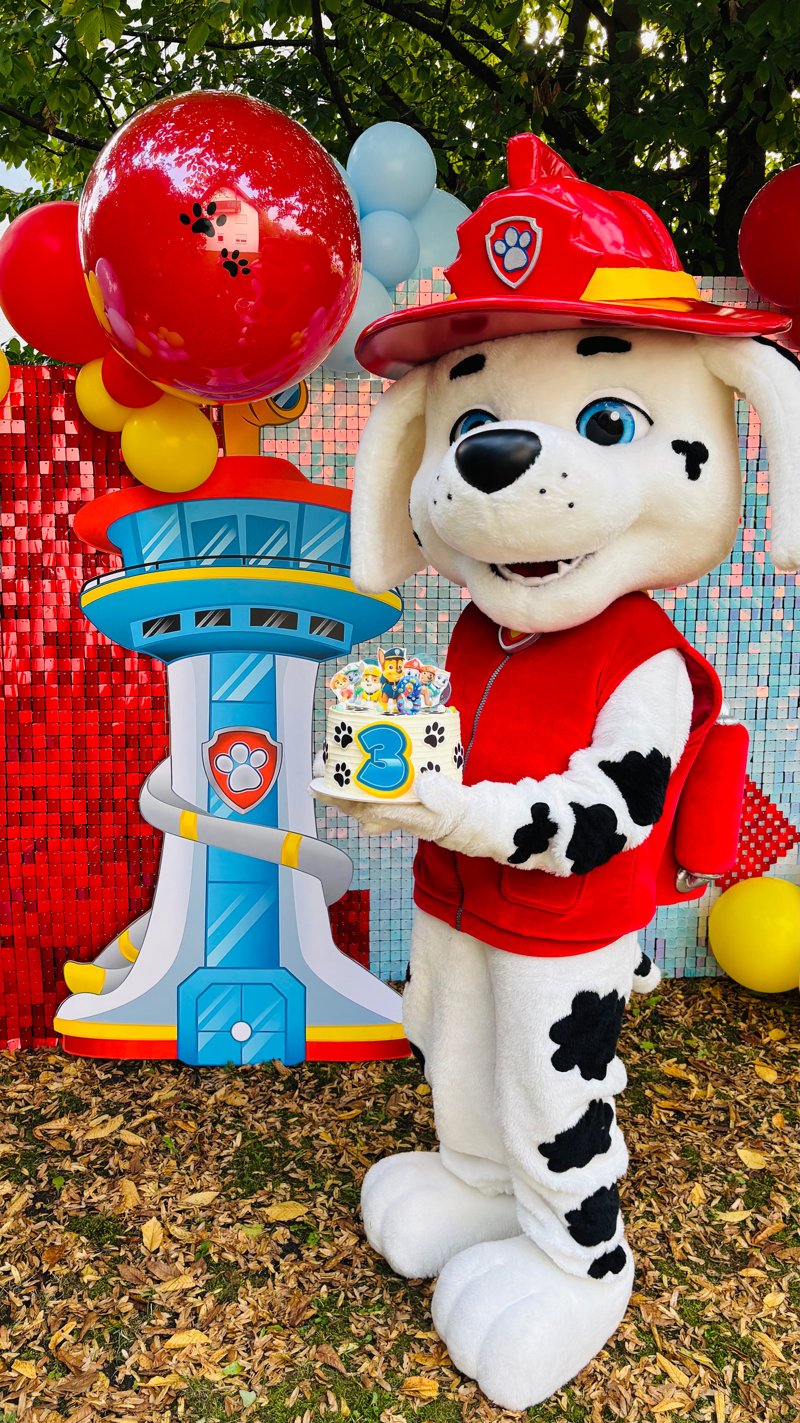 Paw Patrol Geburtstag Dekoration