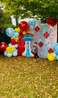 Paw Patrol Geburtstag Dekoration
