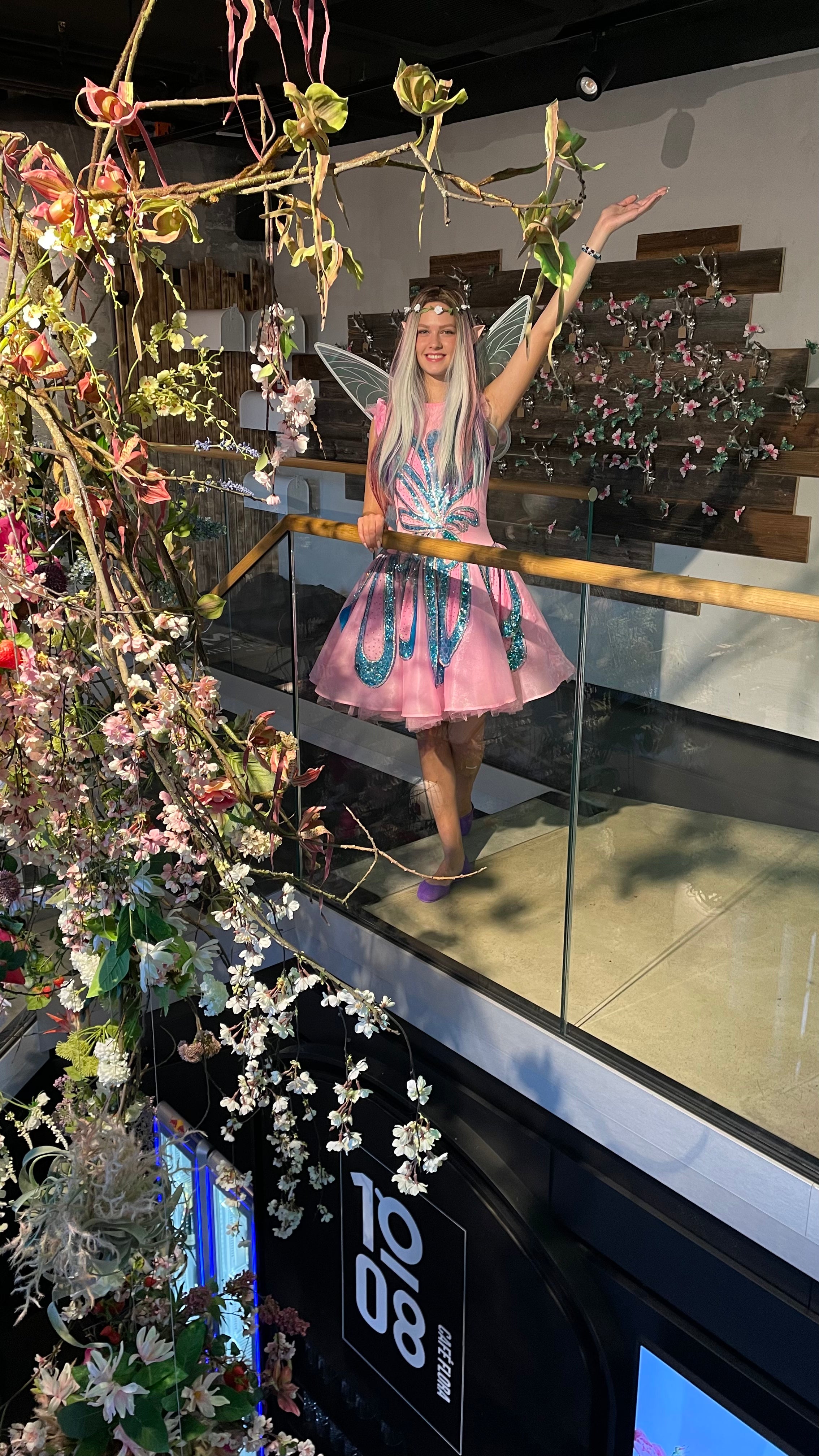 Die Feen Geburtstag / Animation