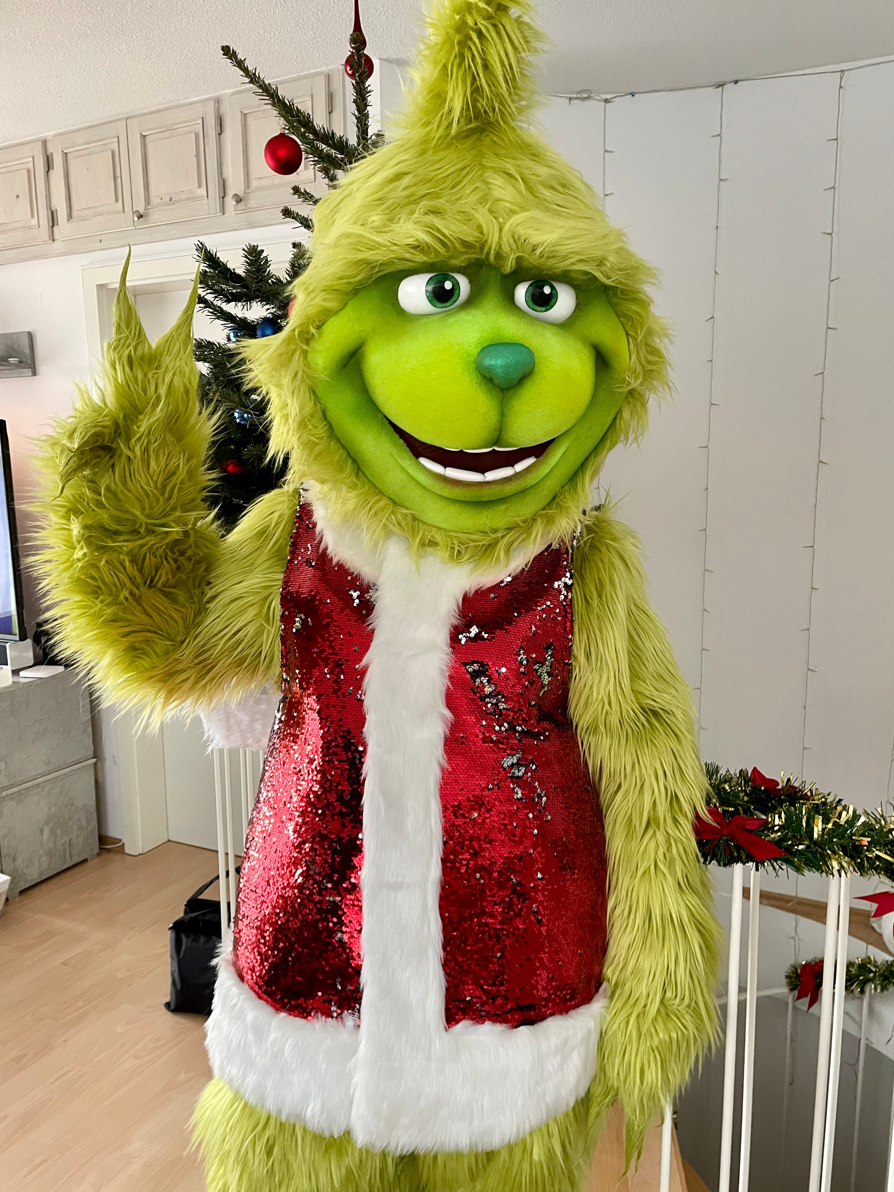 Grinch Maskottchen