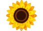 Folien Luftballon Sonnenblume